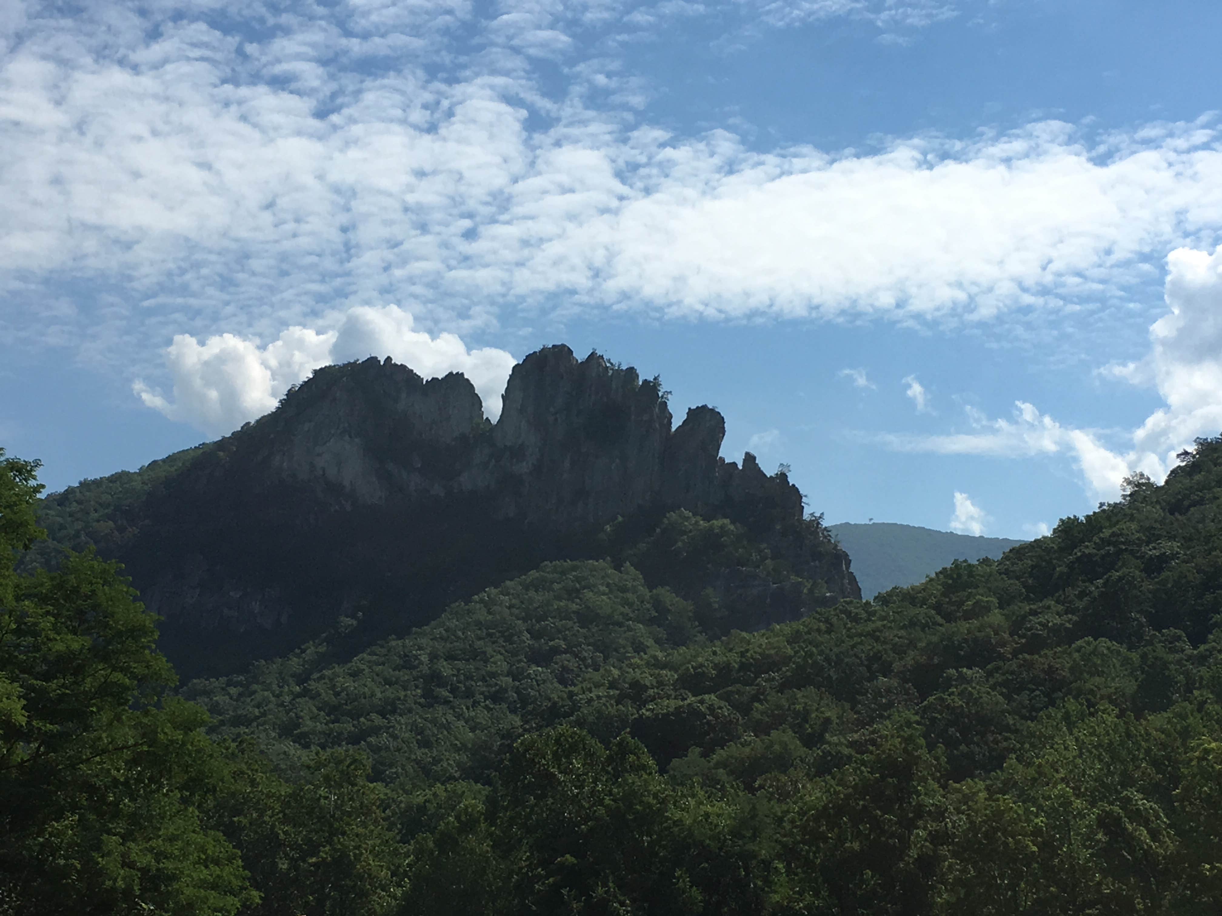 Sandy S.'s photo of a dispersed camping area at Monongahela National Forest Dispersed Site near Craigsville, WV
