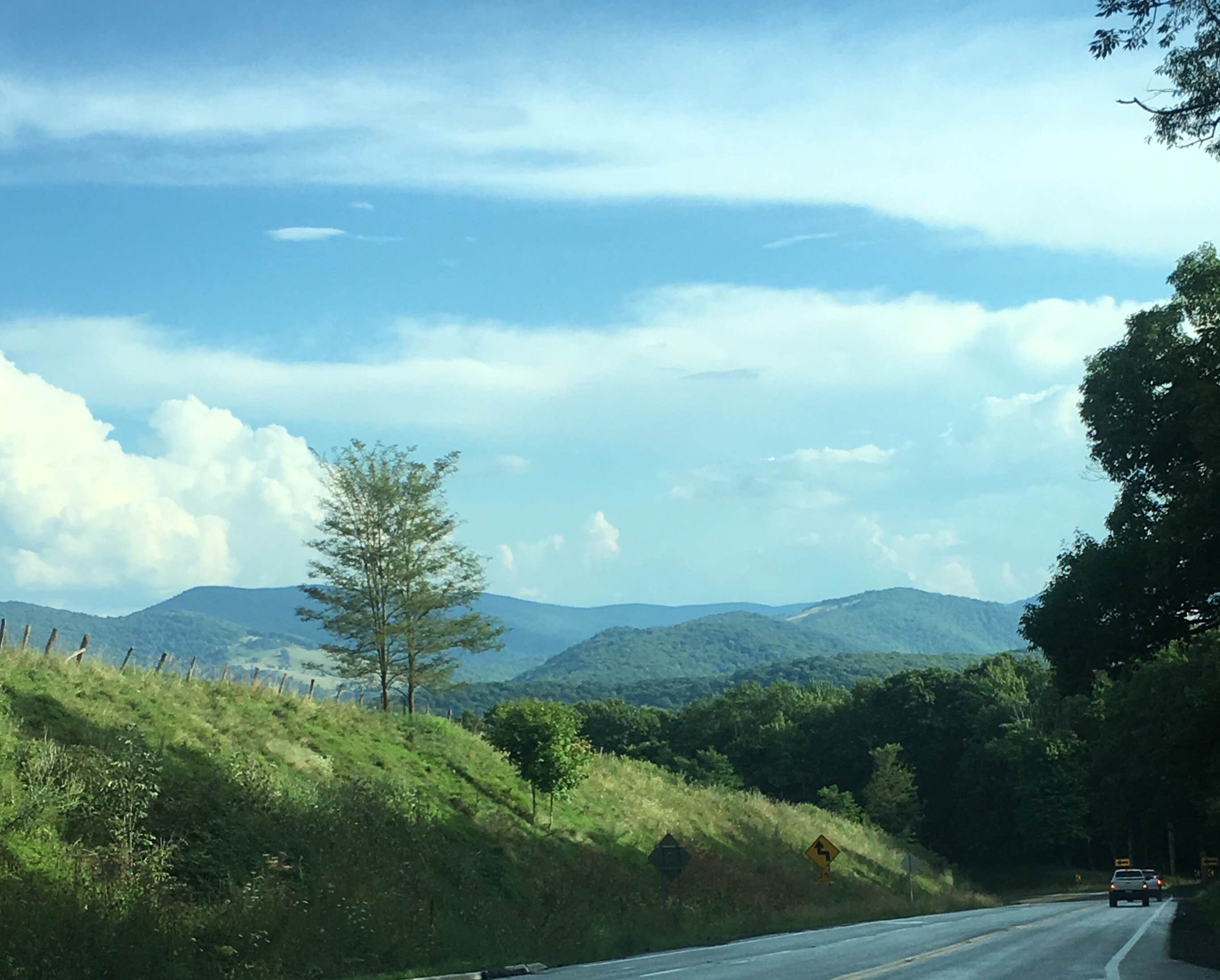 Camper submitted image from Monongahela National Forest Dispersed Site - 4