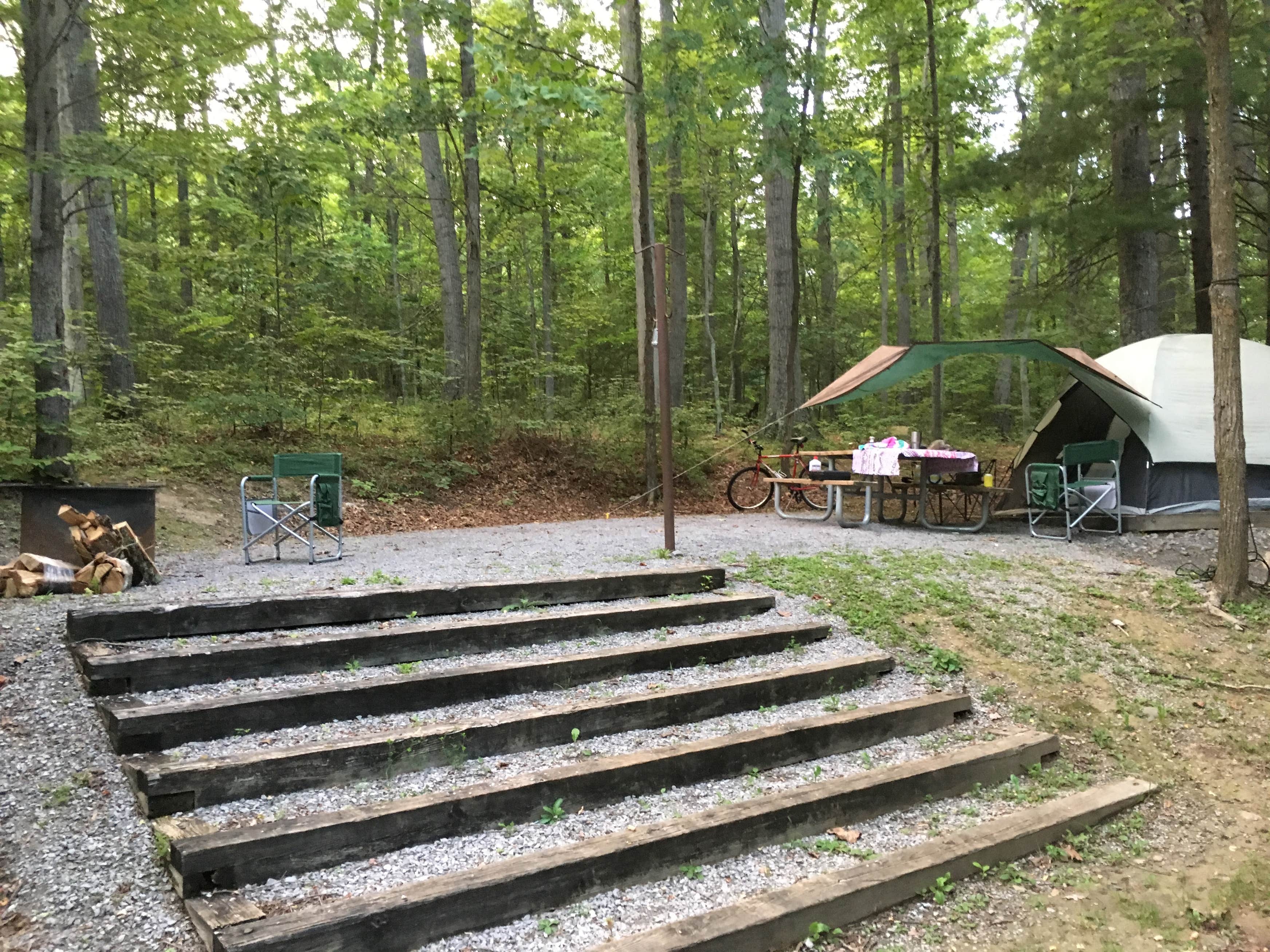 Monongahela National Forest Camping The Dyrt