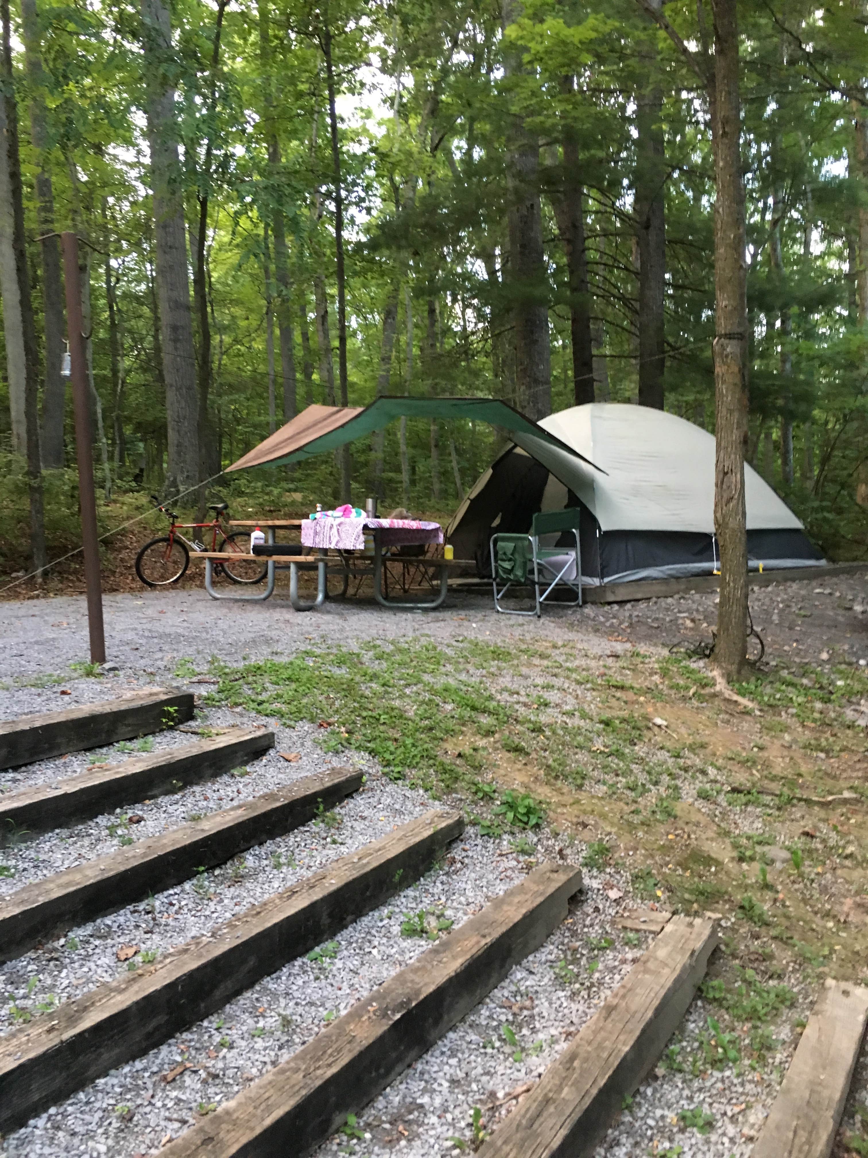 Camper submitted image from Monongahela National Forest Dispersed Site - 4