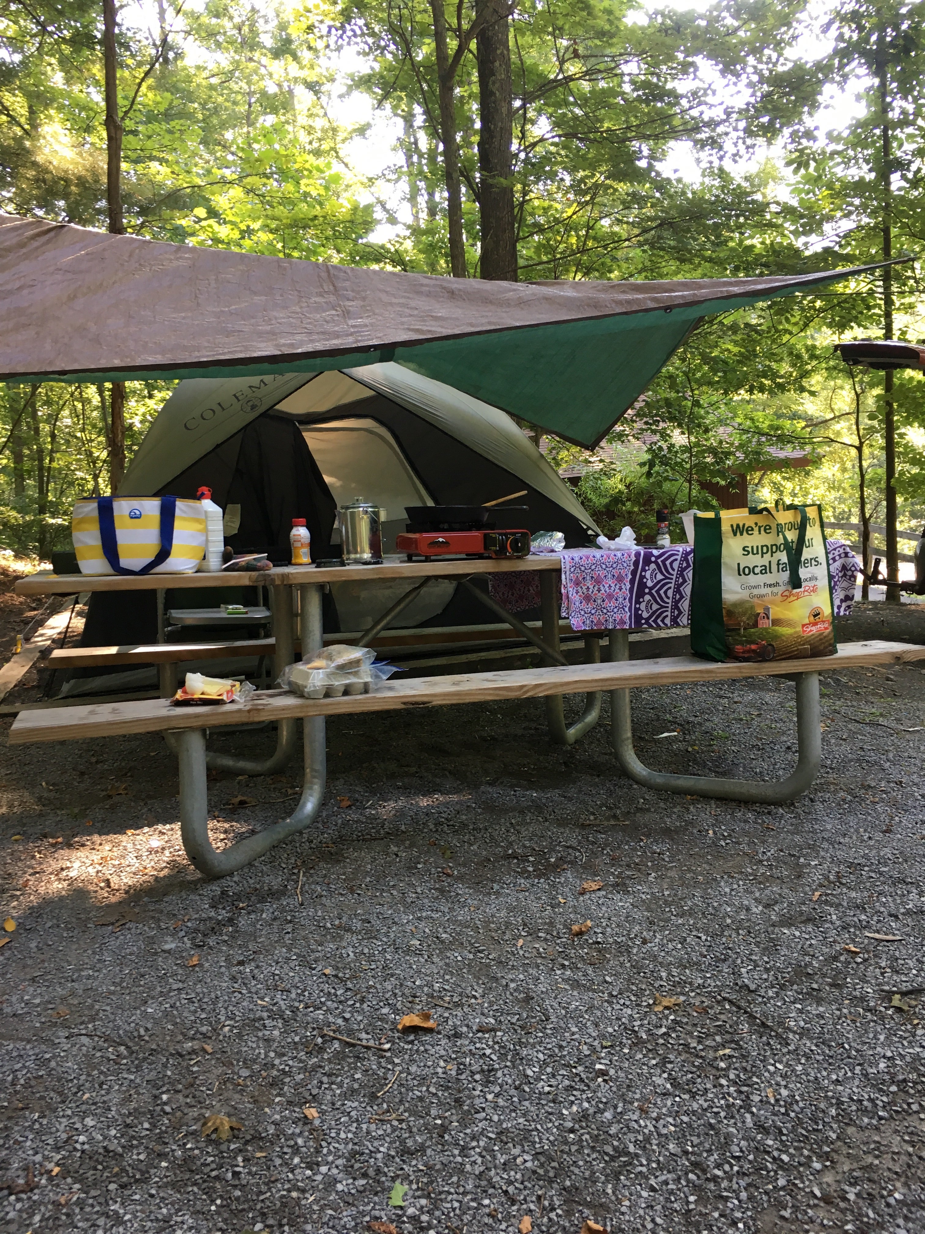 Camper submitted image from Monongahela National Forest Dispersed Site - 1