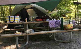 Camping near East Fork Campground and Horse Stables: Monongahela National Forest Dispersed Site, Durbin, West Virginia