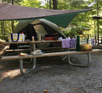 Camper-submitted photo from Monongahela National Forest Dispersed Site