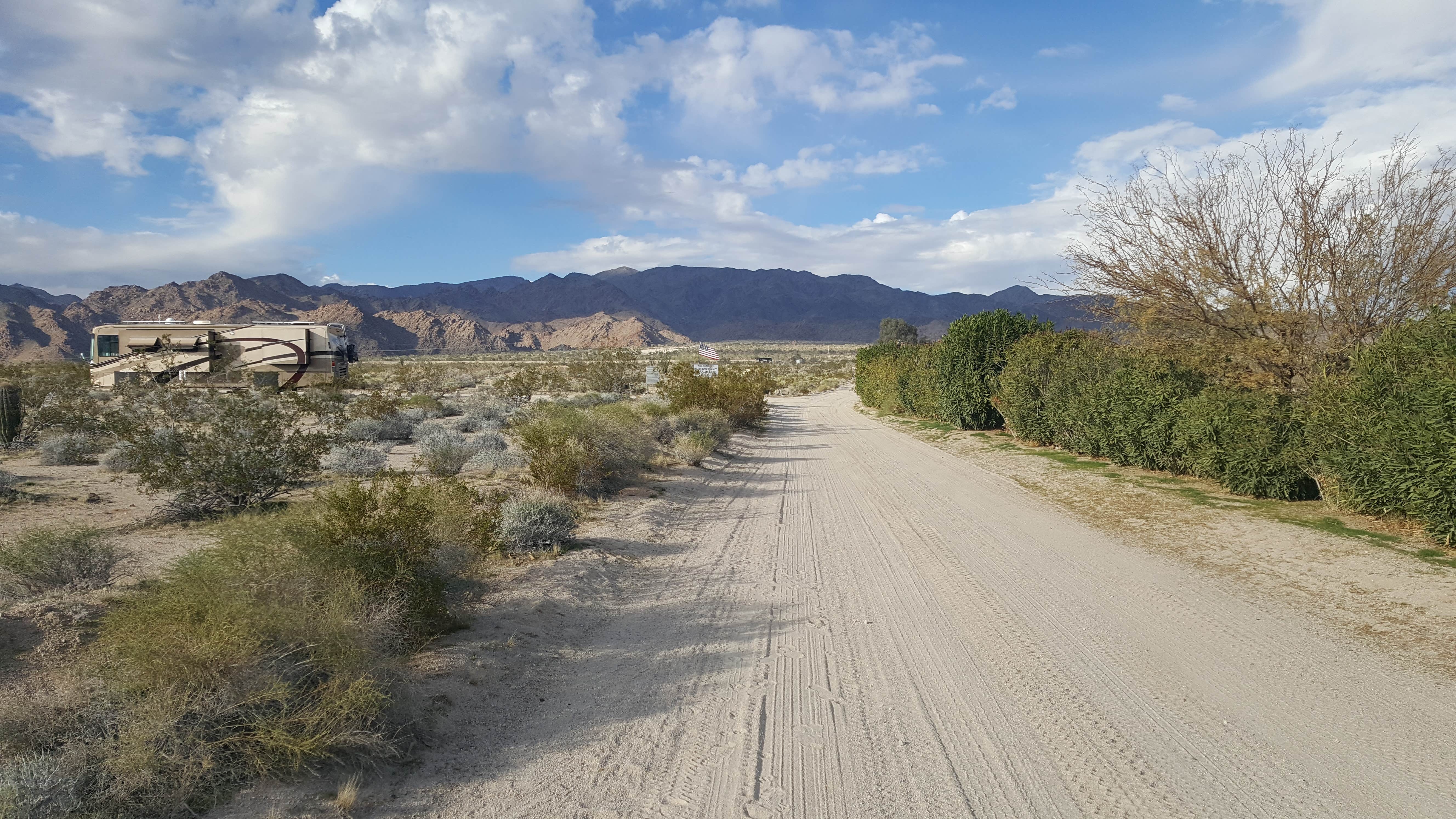 Camper submitted image from Chiriaco Summit Dry Camp Area - 3