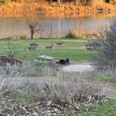 Review photo of North Area Primitive Site — Colorado Bend State Park by Chris H., January 27, 2020