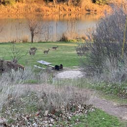 North Area Primitive Site — Colorado Bend State Park