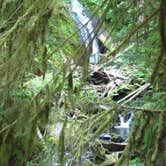 Review photo of Sol Duc Hot Springs Resort Campground — Olympic National Park by Michael K., June 30, 2016