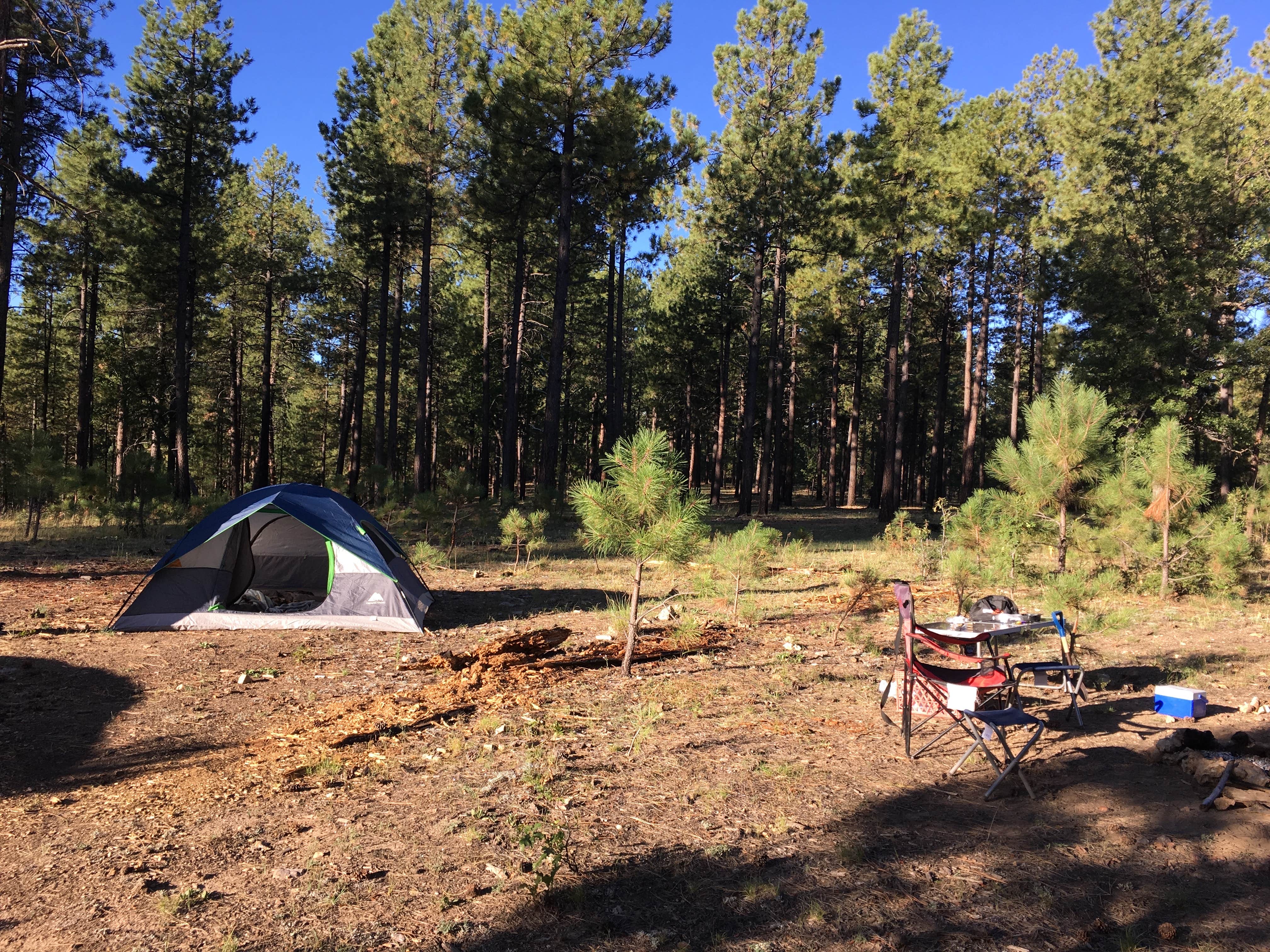 Jacob S.'s photo at Pivot Rock Canyon near Strawberry, AZ