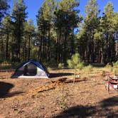 Review photo of Pivot Rock Canyon by Jacob S., September 22, 2019