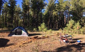 Jacob S.'s photo at Pivot Rock Canyon in Arizona