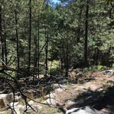 Review photo of Pivot Rock Canyon by Jacob S., September 22, 2019