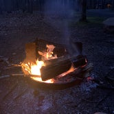 Review photo of Elkmont Campground — Great Smoky Mountains National Park by Keith R., January 27, 2020