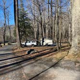Review photo of Elkmont Campground — Great Smoky Mountains National Park by Keith R., January 27, 2020