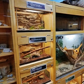 This is just one of the MANY exhibits at the nature center.