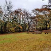 Review photo of Neuseway Nature Park & Campground by Myron C., January 27, 2020