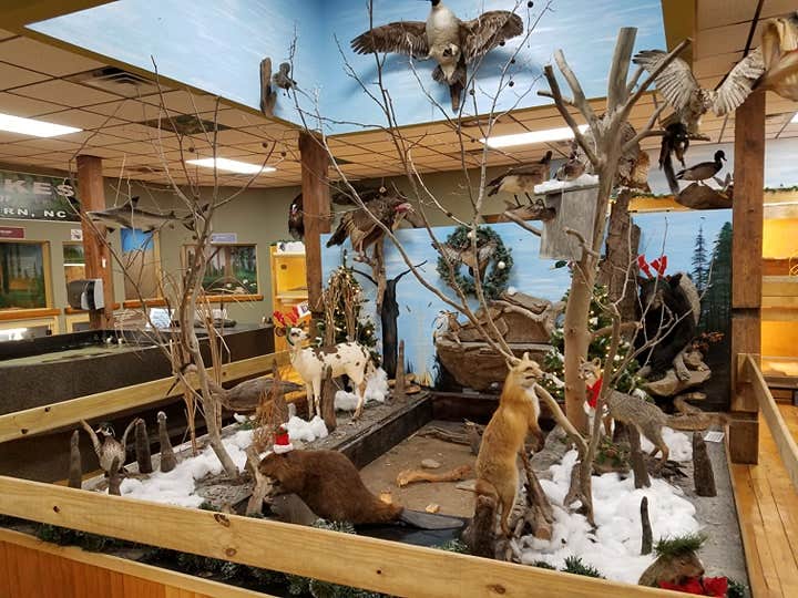 Camper-submitted photo at Neuseway Nature Park & Campground near Kinston, NC