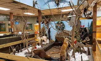 Myron C.'s photo of camping with pets at Neuseway Nature Park & Campground near Grifton, NC