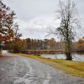 Review photo of Neuseway Nature Park & Campground by Myron C., January 27, 2020