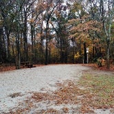 Review photo of Neuseway Nature Park & Campground by Myron C., January 27, 2020