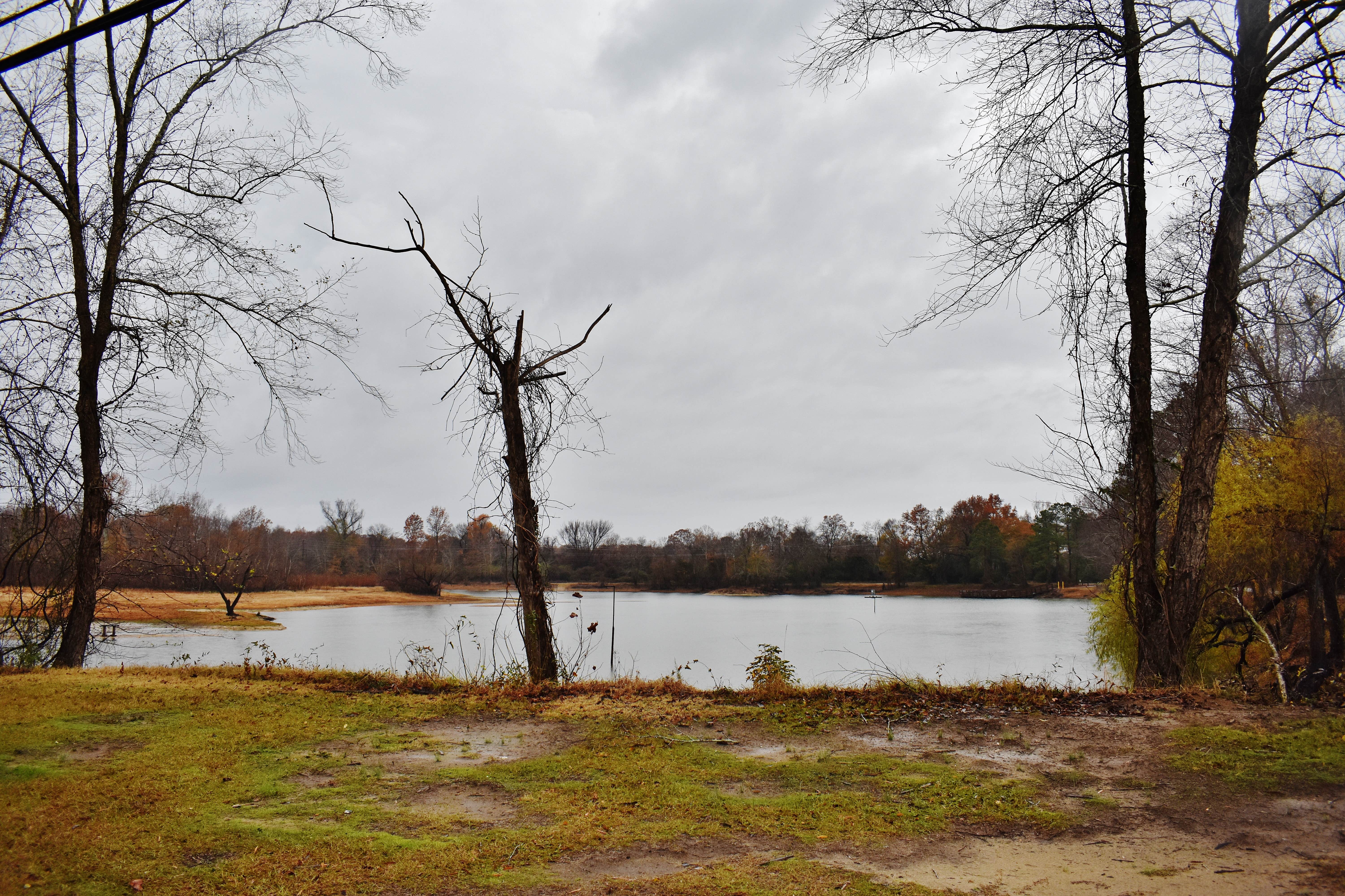 Camper-submitted photo at Neuseway Nature Park & Campground near Kinston, NC
