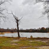 Review photo of Neuseway Nature Park & Campground by Myron C., January 27, 2020