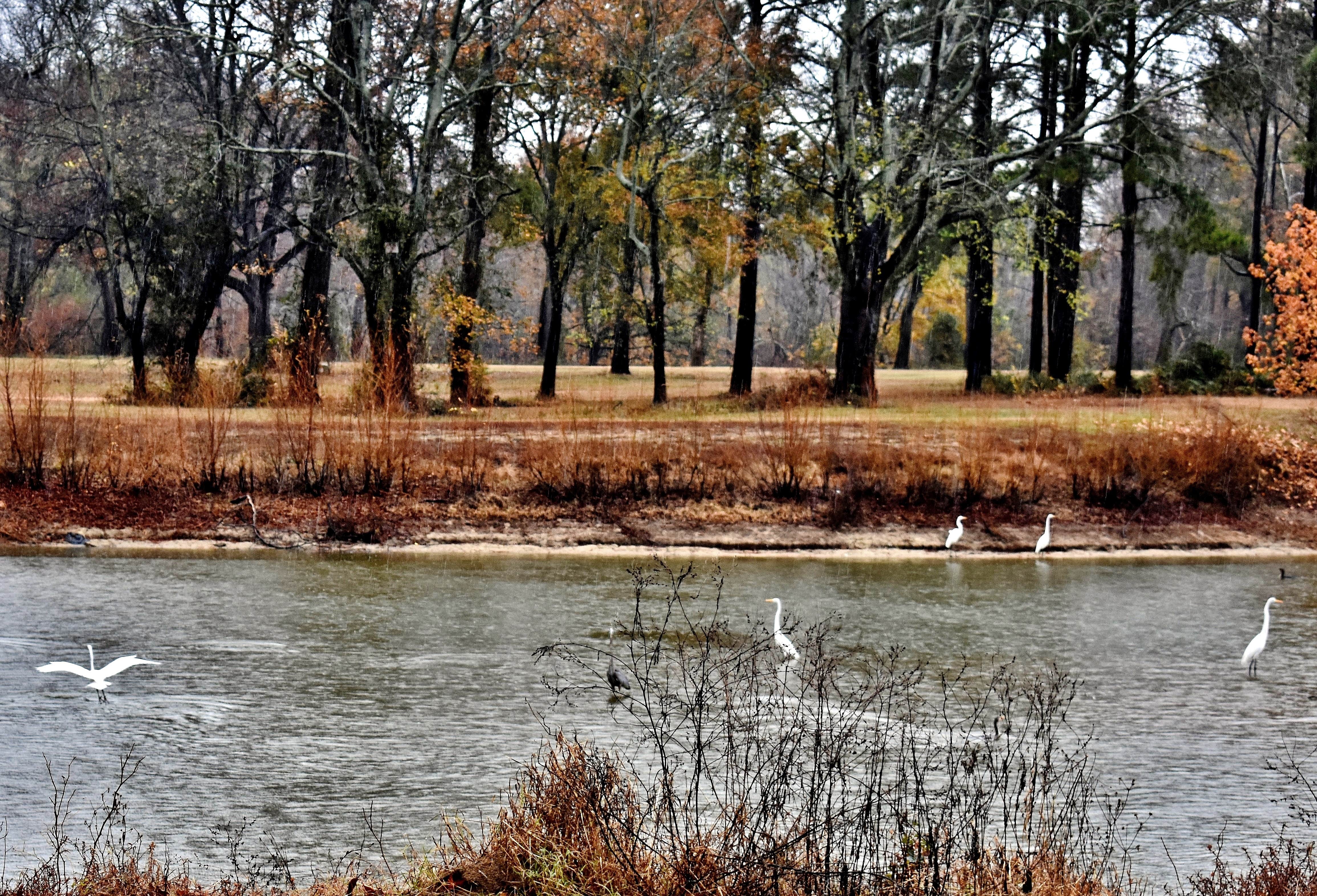 Camper-submitted photo at Neuseway Nature Park & Campground near Kinston, NC