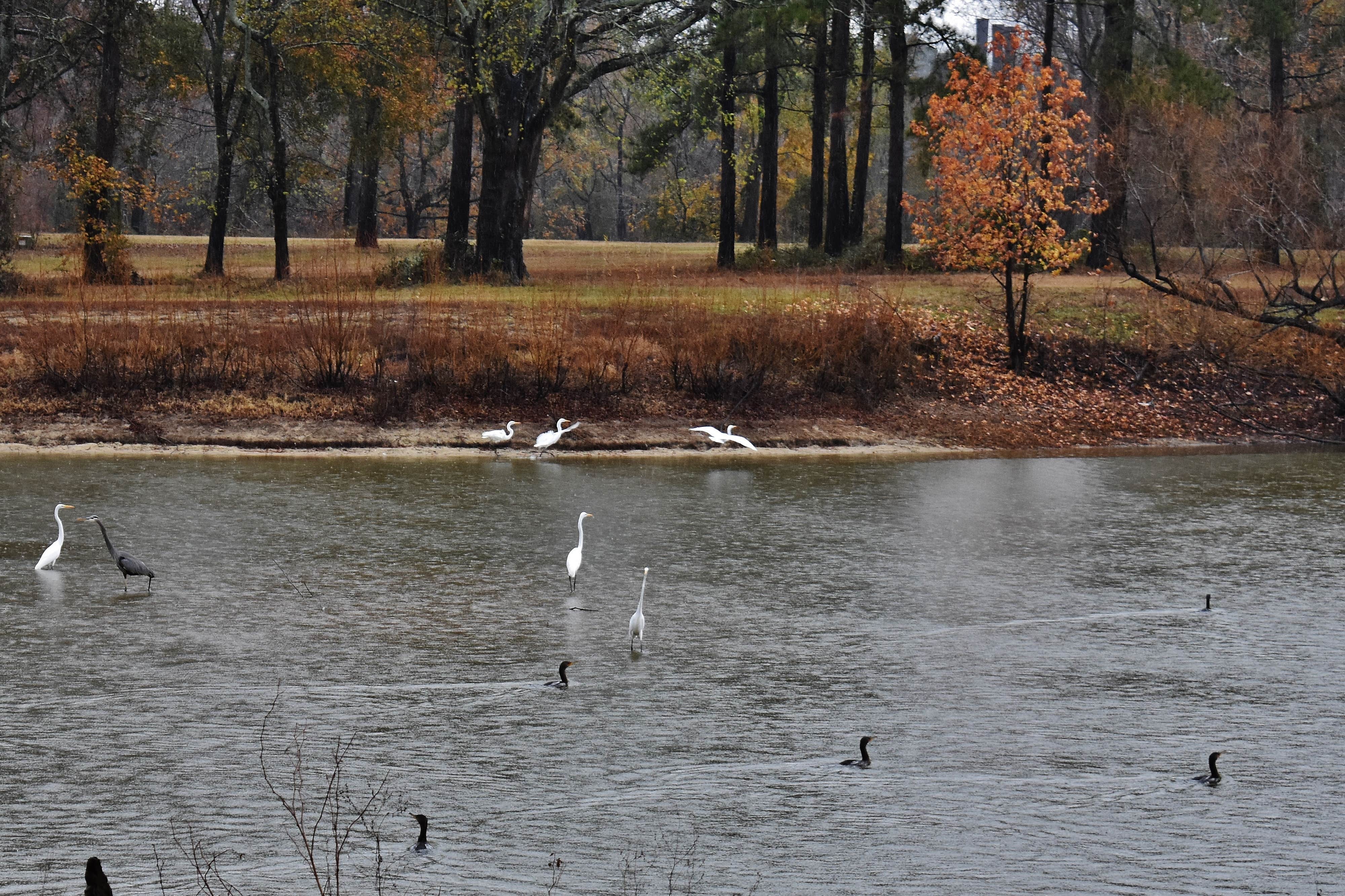 Camper-submitted photo at Neuseway Nature Park & Campground near Kinston, NC