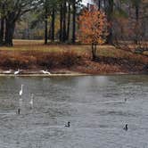 Review photo of Neuseway Nature Park & Campground by Myron C., January 27, 2020