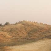 Review photo of Sage Creek Campground by Andrew G., January 27, 2020