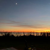Review photo of Meaher State Park Campground by Lisa N., January 27, 2020