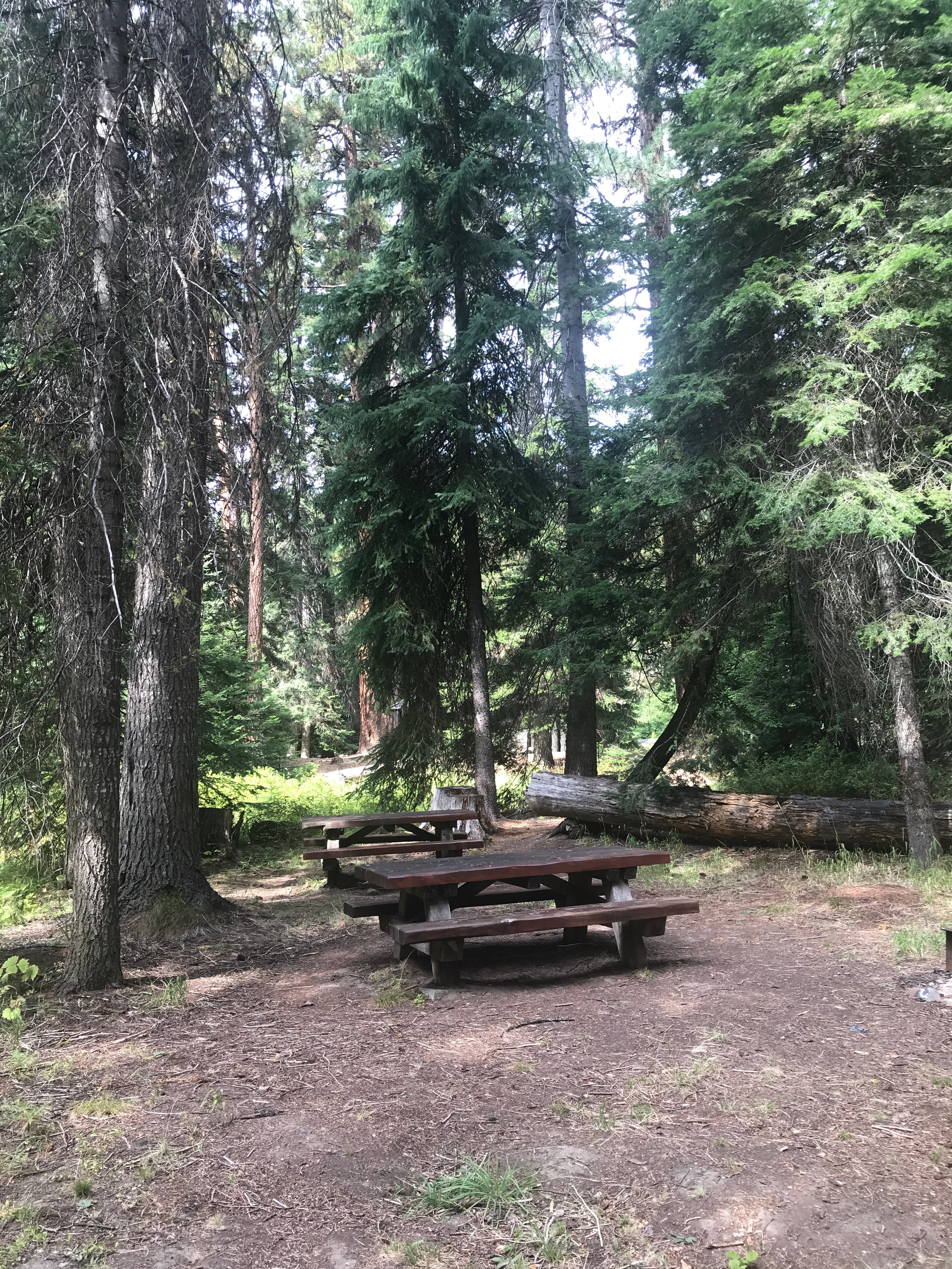 Camper submitted image from Wenatchee National Forest Swauk Campground - 5