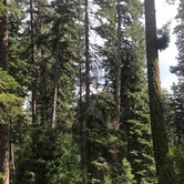 Review photo of Wenatchee National Forest Swauk Campground by Crystal C., January 27, 2020
