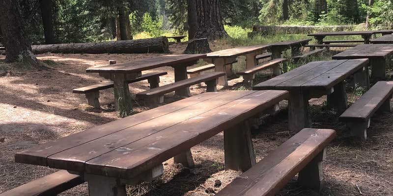 Camper submitted image from Wenatchee National Forest Swauk Campground