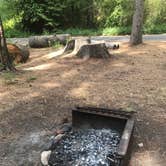 Review photo of Wenatchee National Forest Swauk Campground by Crystal C., January 27, 2020