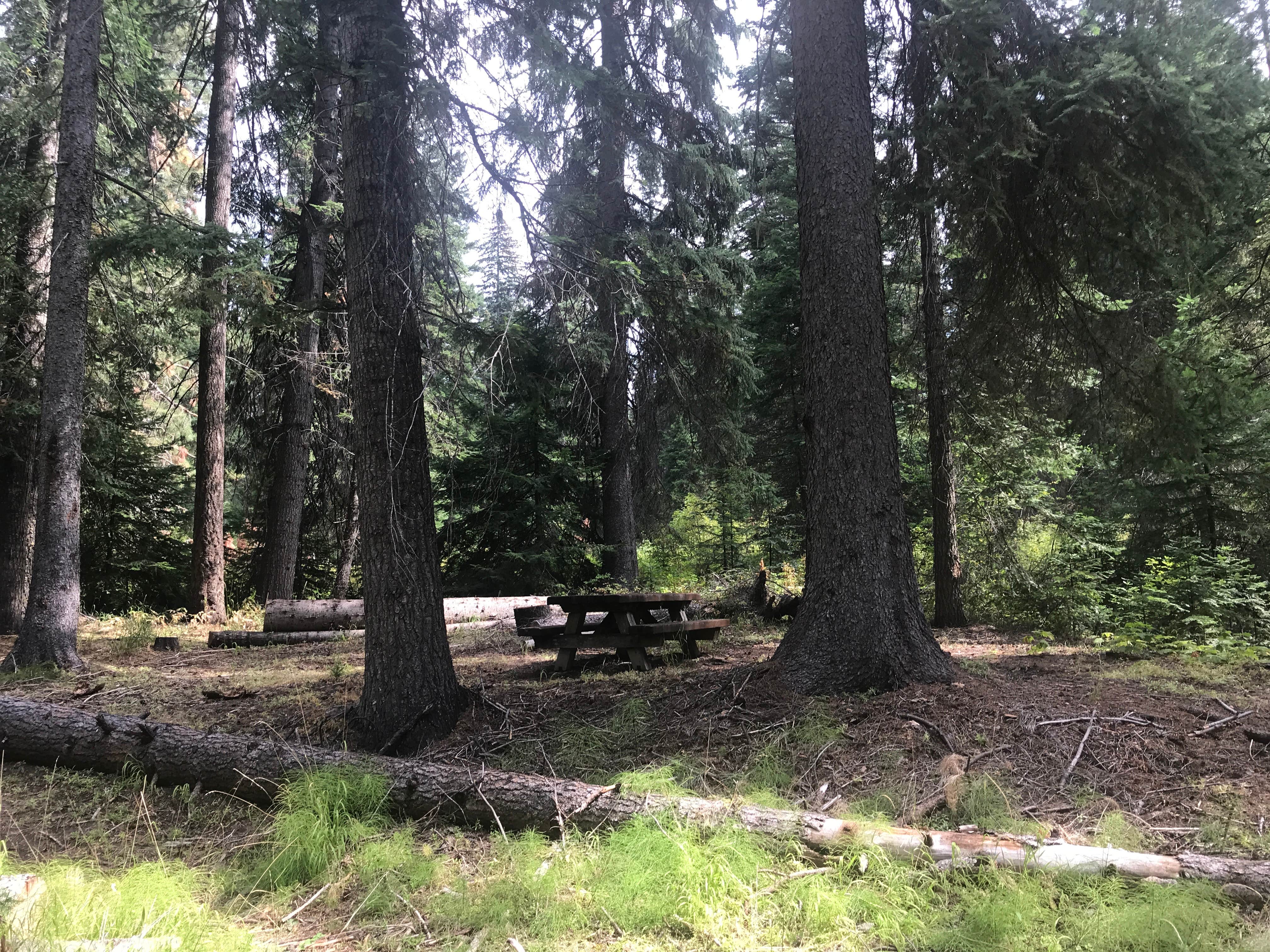 Camper-submitted photo at Wenatchee National Forest Swauk Campground near Ellensburg, WA