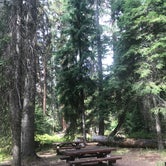 Review photo of Wenatchee National Forest Swauk Campground by Crystal C., January 27, 2020