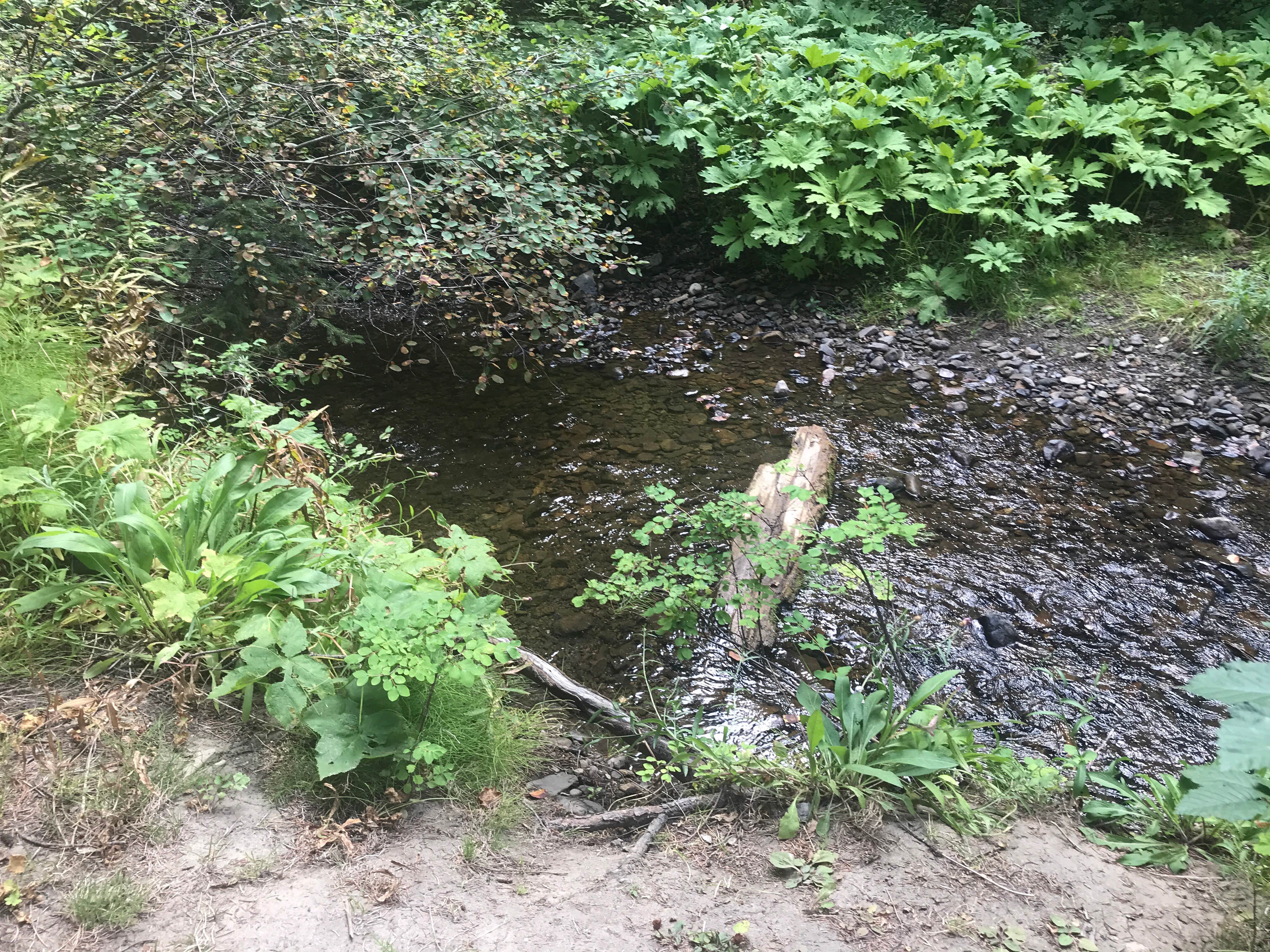 Camper-submitted photo at Wenatchee National Forest Swauk Campground near Ellensburg, WA