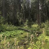 Review photo of Wenatchee National Forest Swauk Campground by Crystal C., January 27, 2020