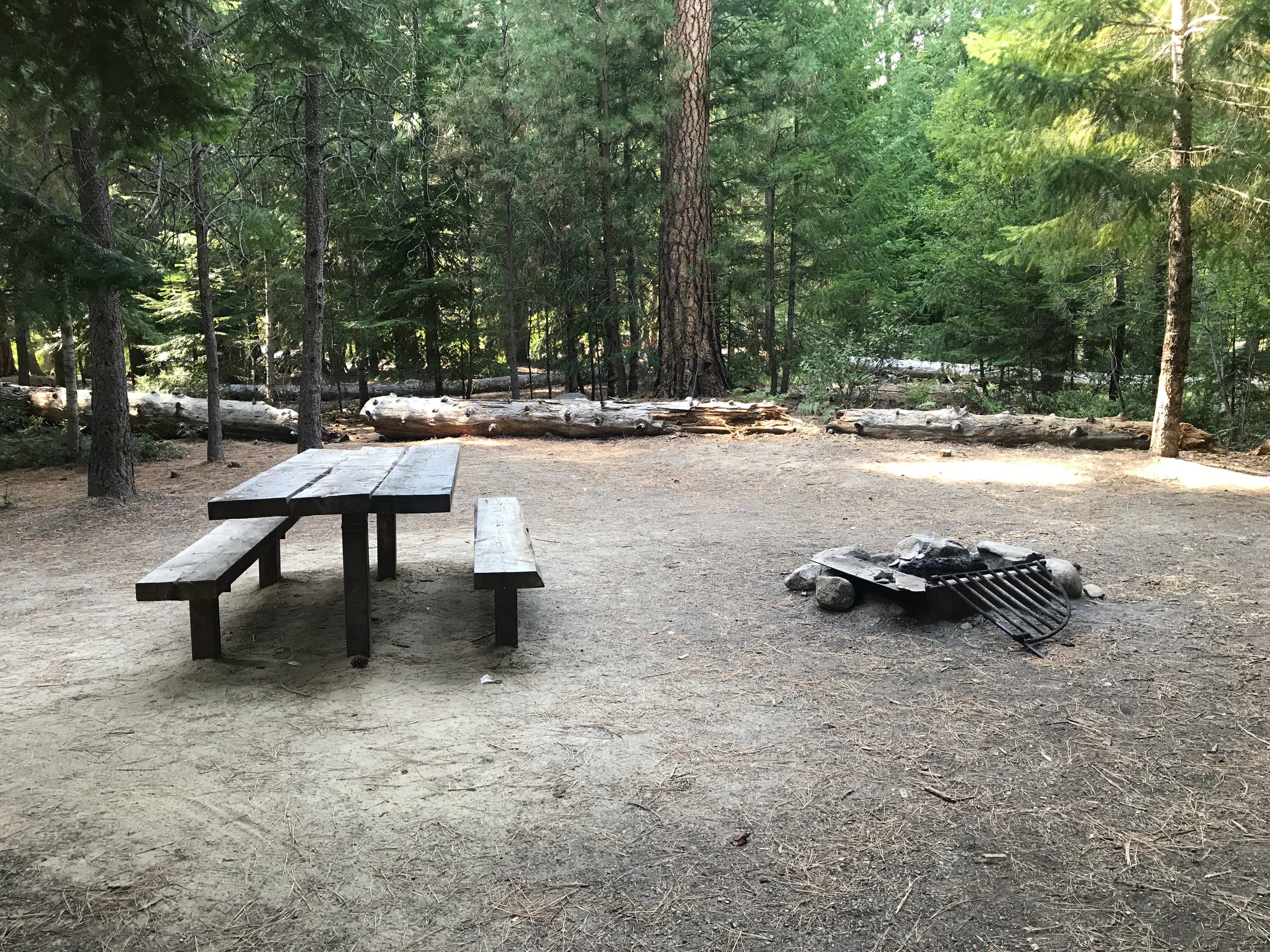 Camper submitted image from Fox Creek Campground - 1