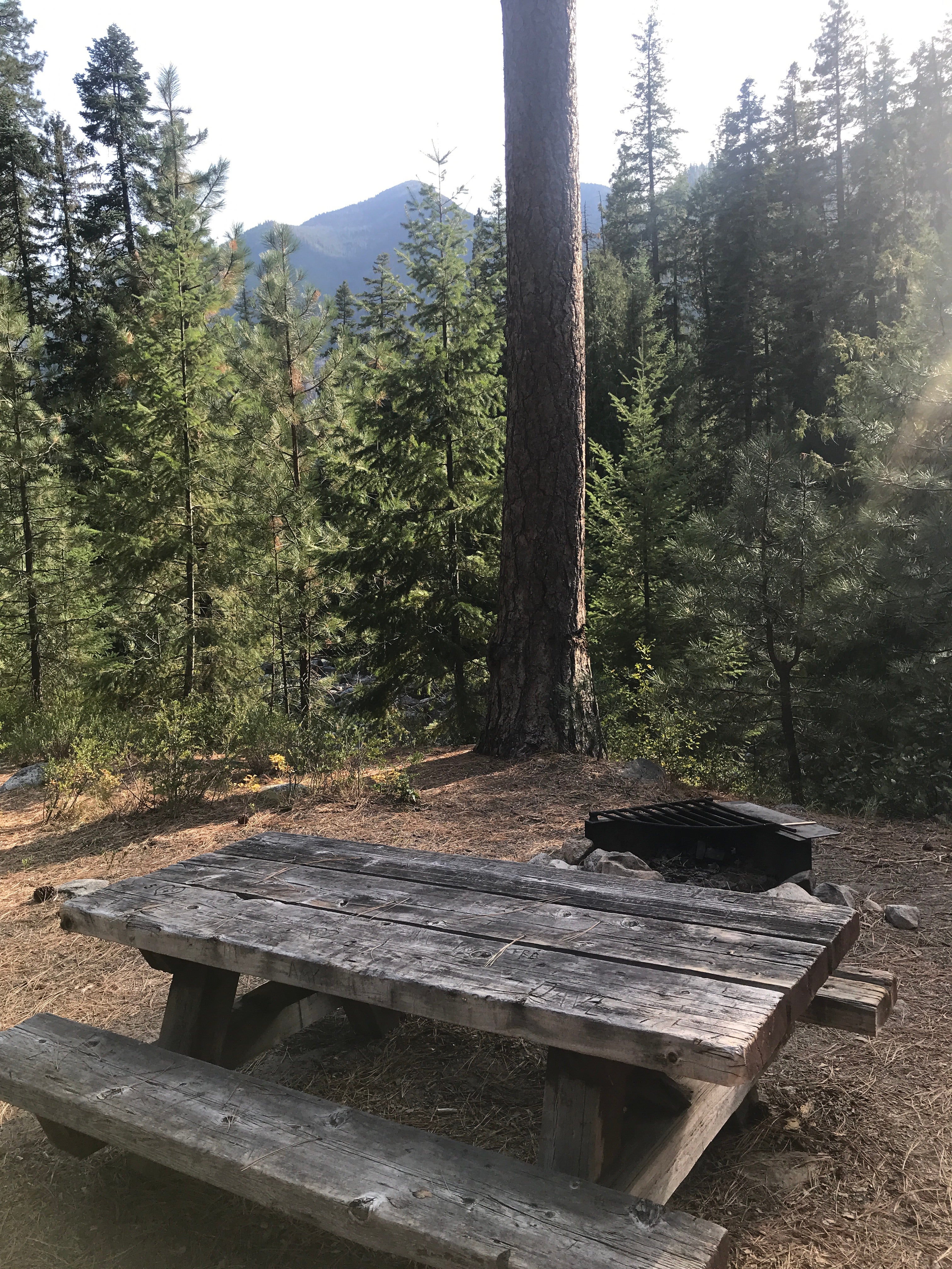 Camper submitted image from Lake Creek Campground - Entiat River - 4
