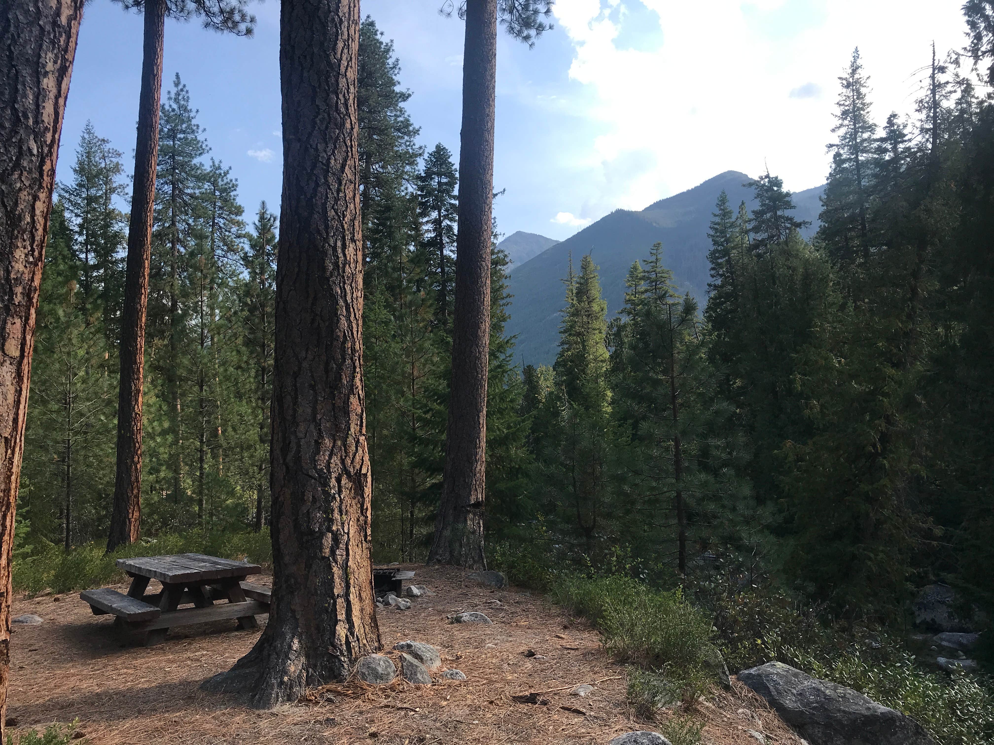 Camper submitted image from Lake Creek Campground - Entiat River - 2