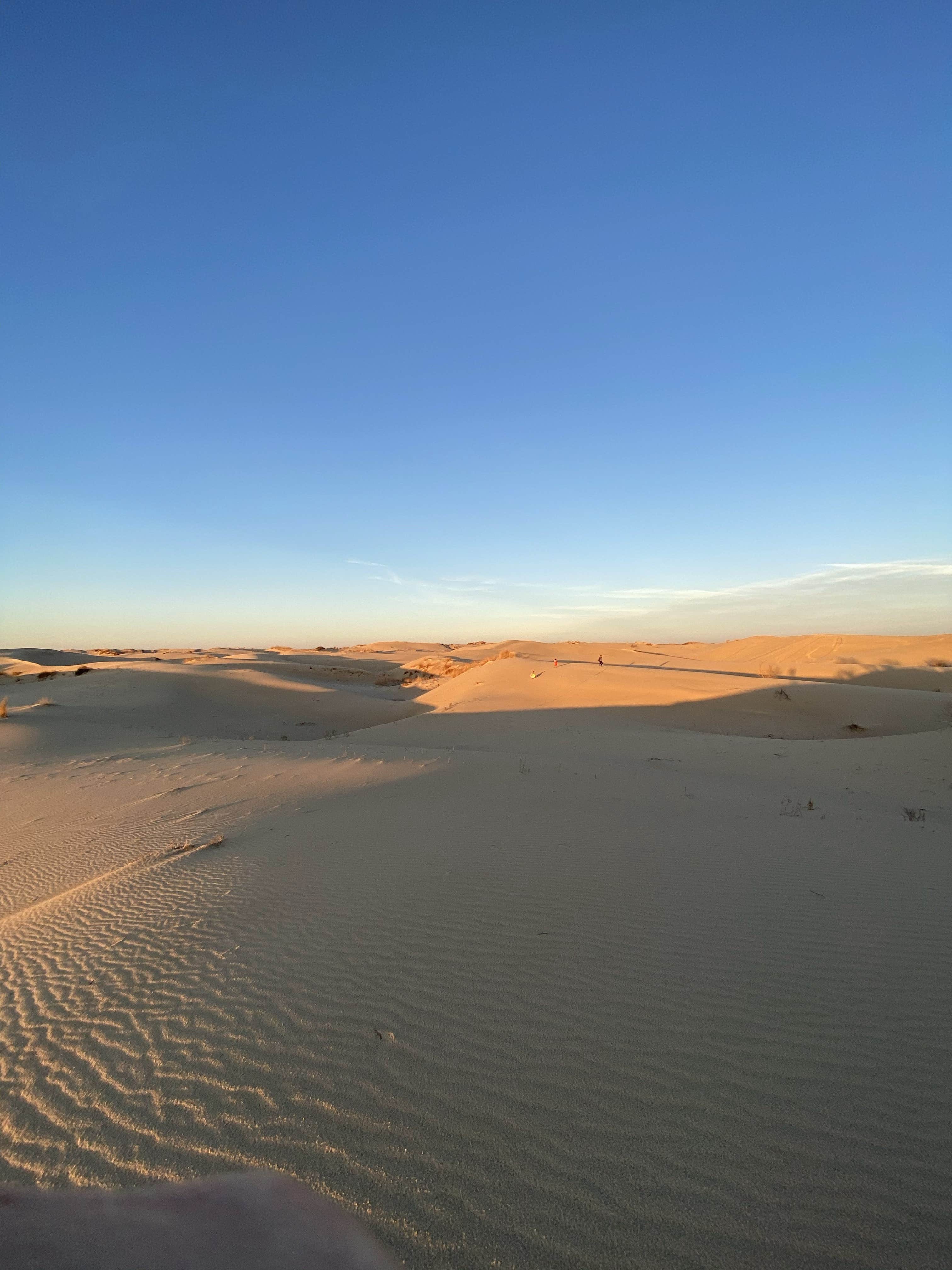 Camper-submitted photo at Monahans Sandhills State Park Campground near Monahans, TX