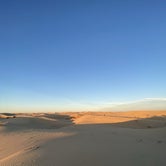Review photo of Monahans Sandhills State Park Campground by Kelsey G., January 28, 2020