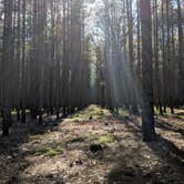 Review photo of Nordhouse Dunes Wilderness - Green Road by Andrew G., January 28, 2020