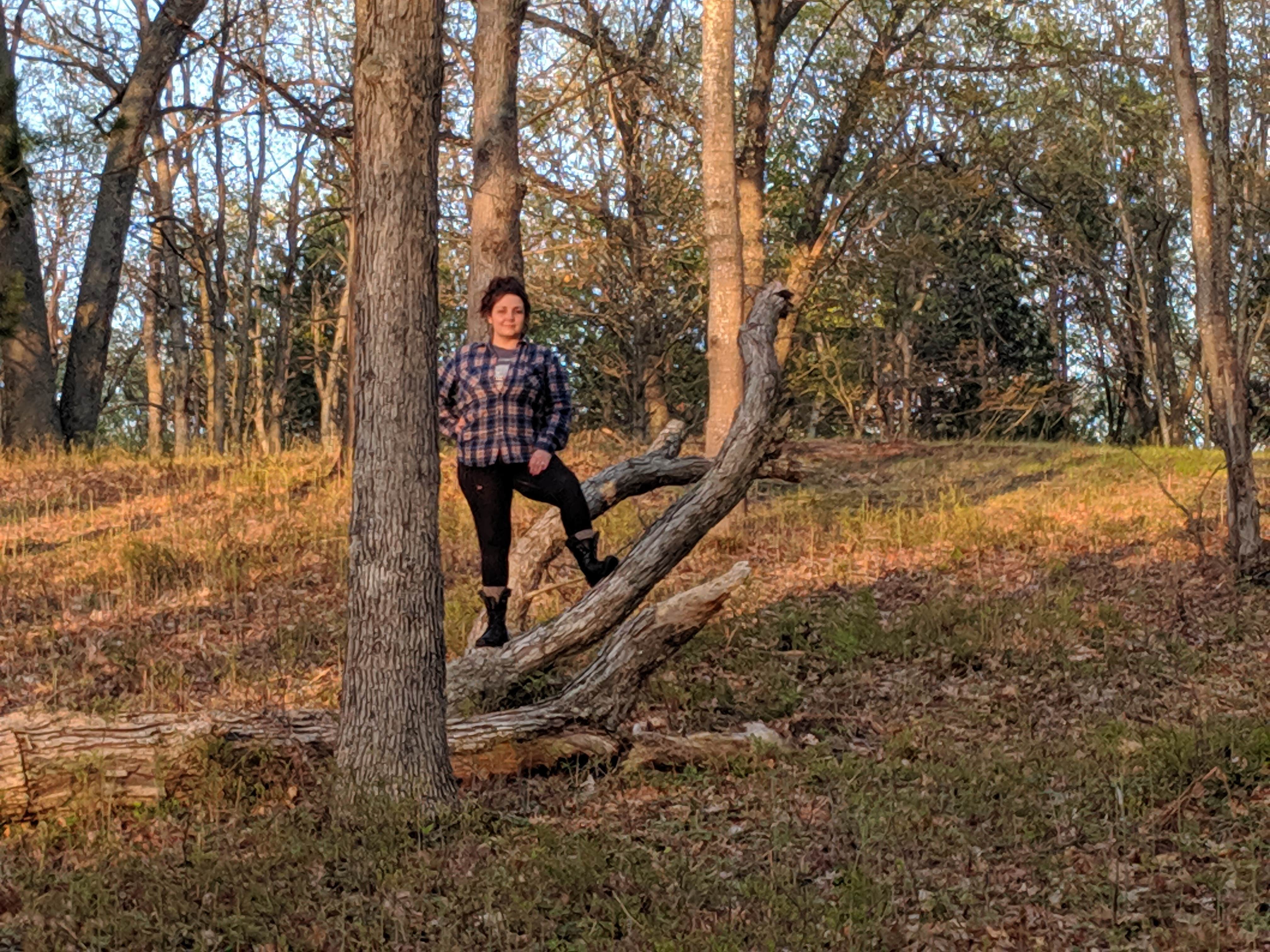 Camper-submitted photo at Nordhouse Dunes Wilderness - Green Road near Custer, MI