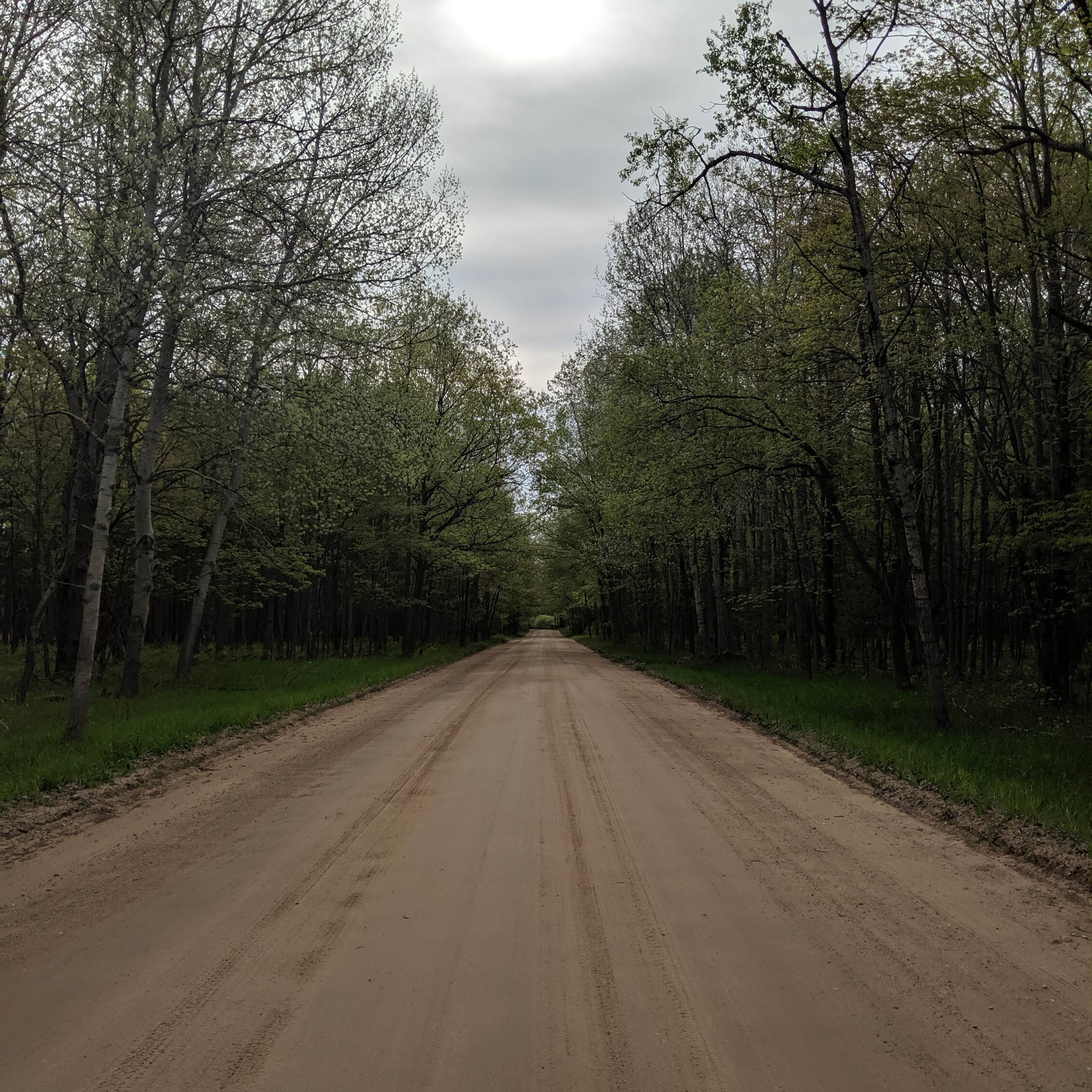 Nordhouse Dunes Wilderness - Green Road Camping | The Dyrt