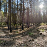 Review photo of Nordhouse Dunes Wilderness - Green Road by Andrew G., January 28, 2020