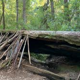 Review photo of Hendy Woods State Park Campground by Caitlin  B., January 28, 2020