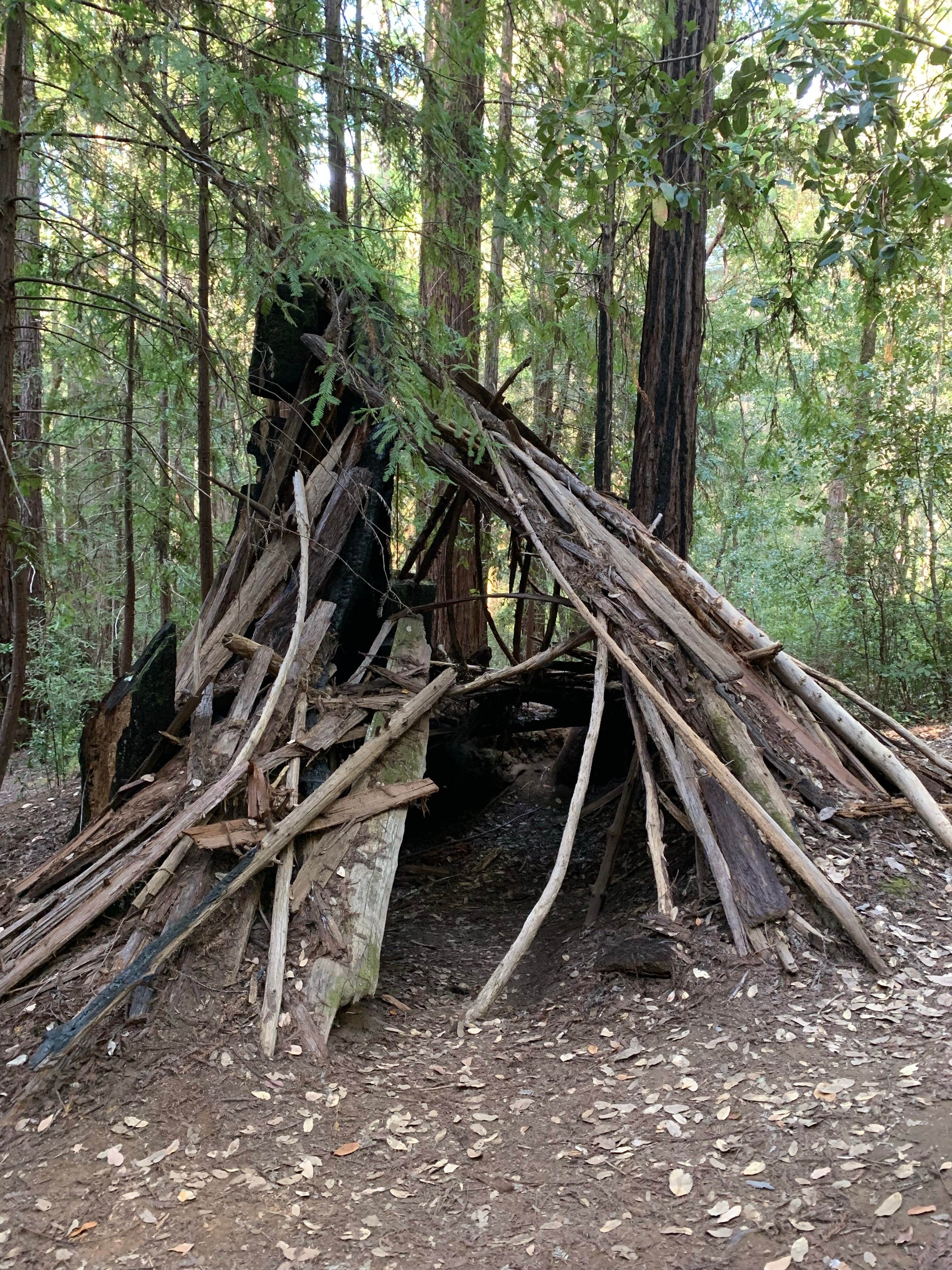 Camper-submitted photo at Hendy Woods State Park Campground near Gualala, CA