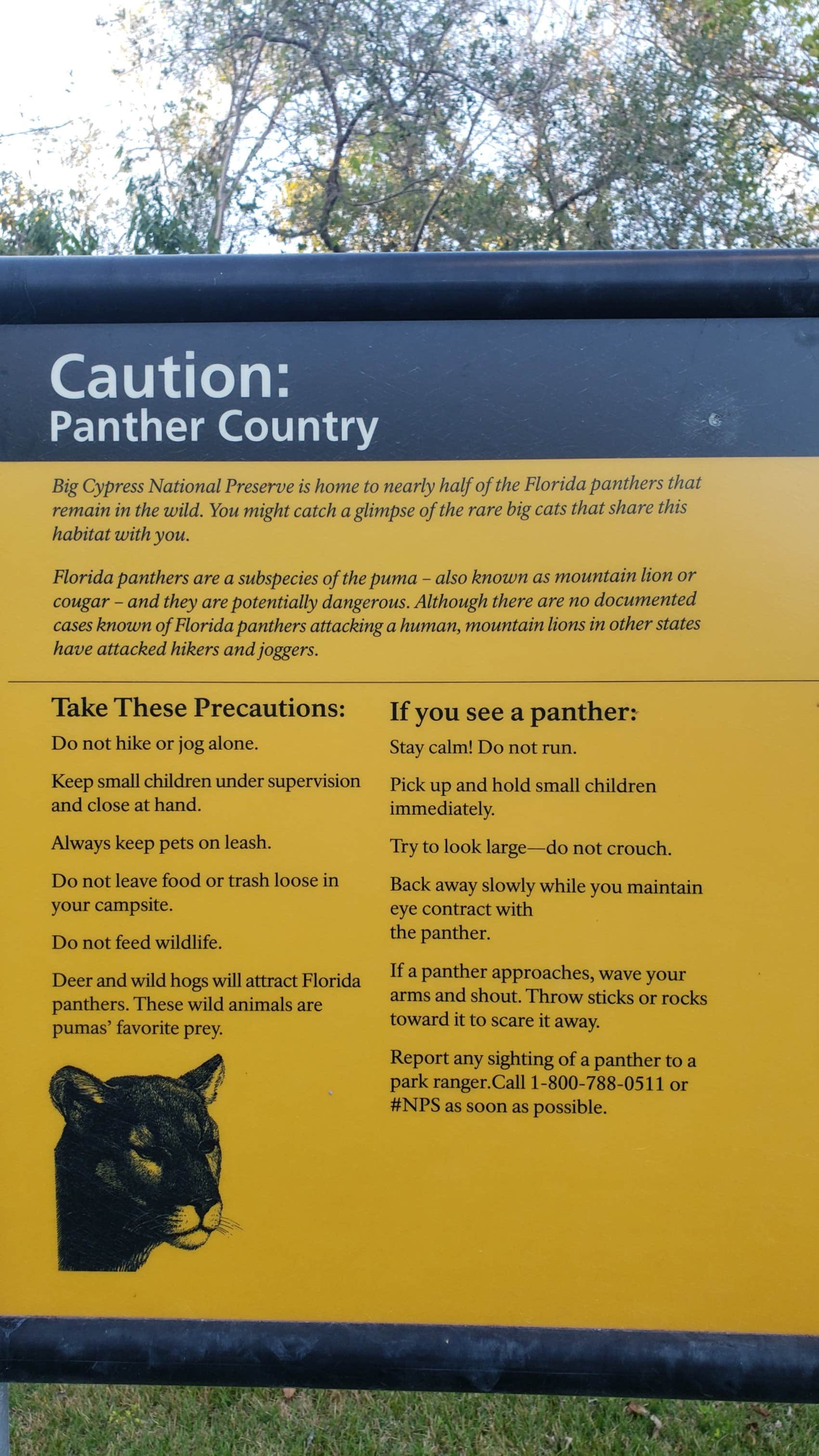 Jean C.'s photo of camping with pets at Pinecrest Group Campground — Big Cypress National Preserve near Palmetto Bay, FL